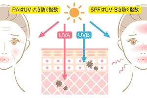 UVAとUVBの違い